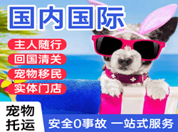 延吉机场邮寄国际宠物托运 【国